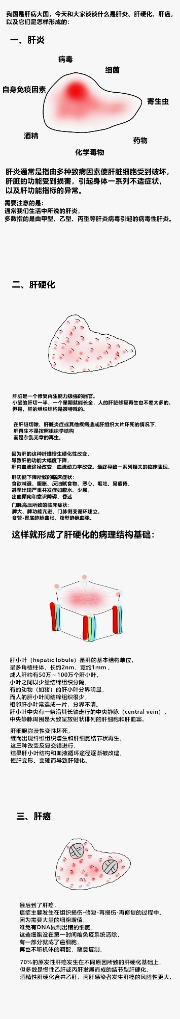 4.肝移植常识：1肝脏疾病小常识1.jpg